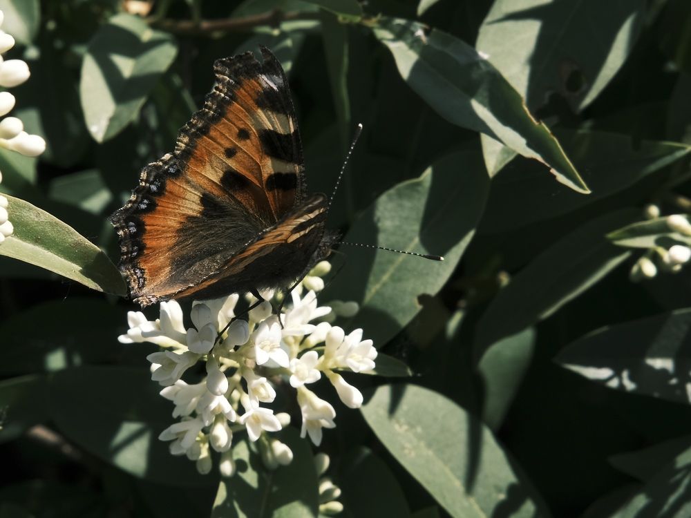 Photograph by Елена Акимова