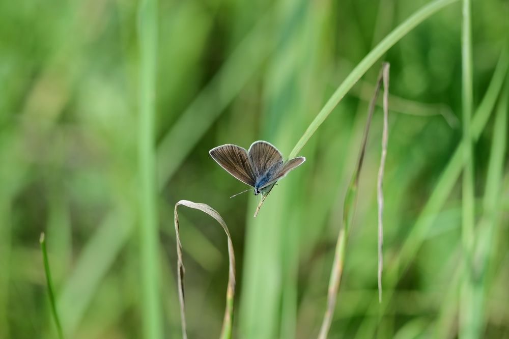 Фотография автора Екатерина Карасева