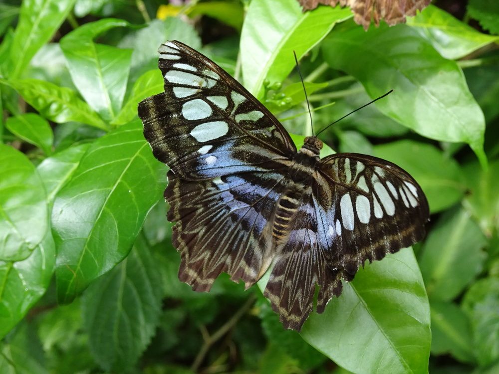 Photograph by Мила Милая