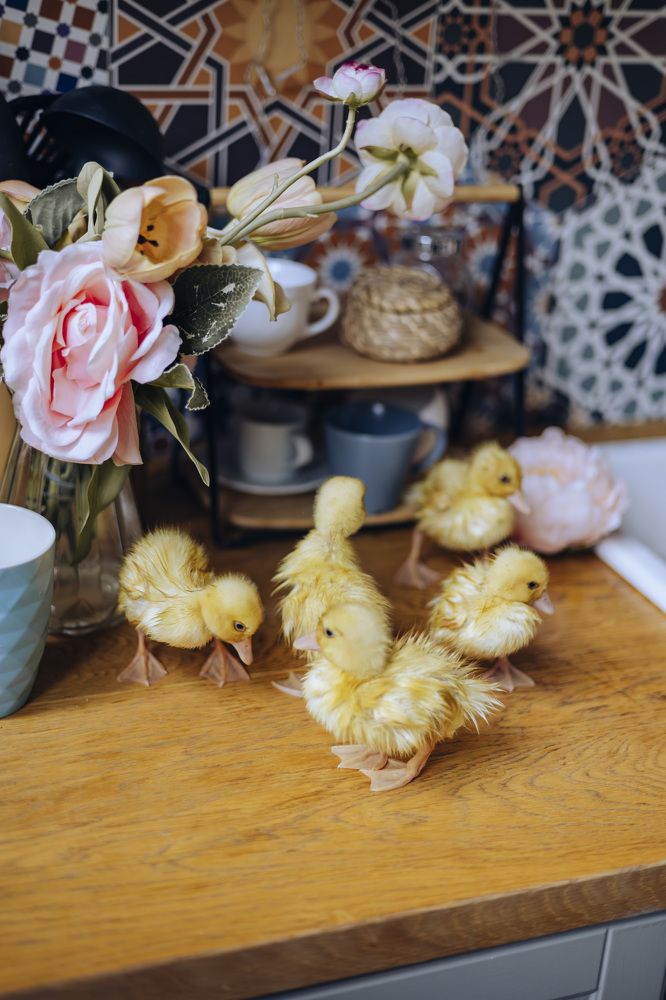 Photograph by Татьяна Ермошина