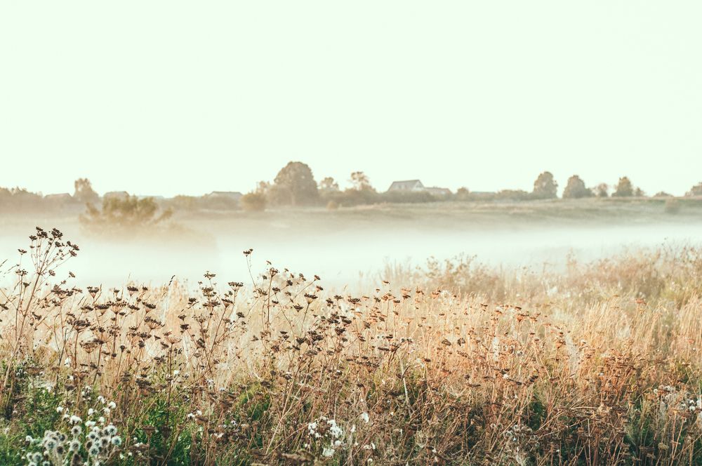 Photograph by Елена