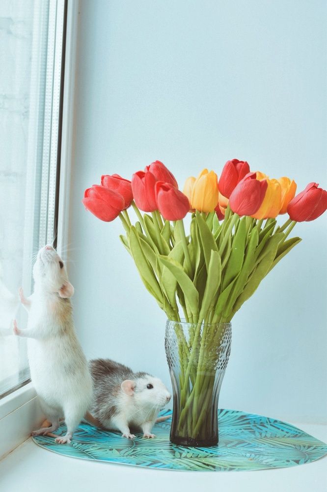 Photograph by Екатерина Верясова