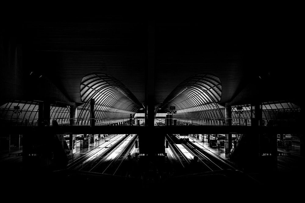 Photograph by Amelia Pardo