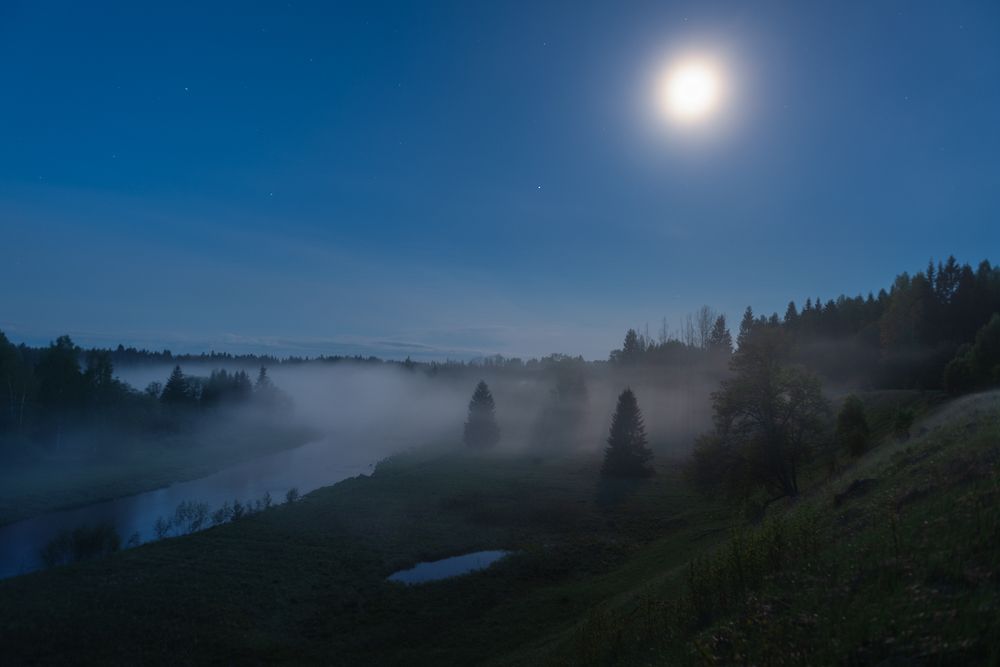 Photograph by Крицак Ольга