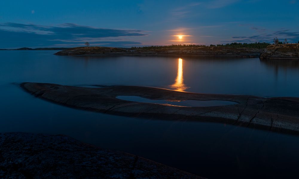 Photograph by Крицак Ольга