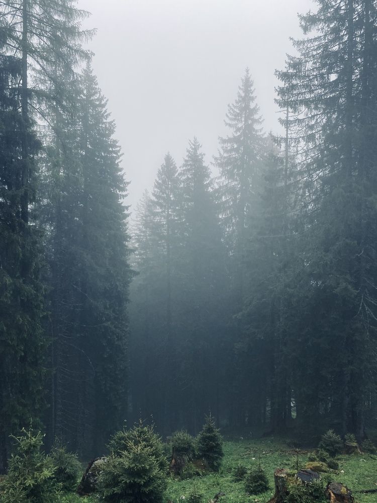 Photograph by Наталья Посашко