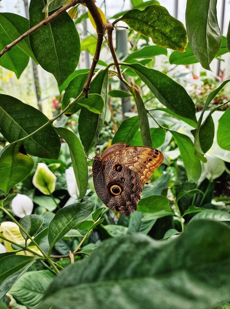 Photograph by Vera Nefedova