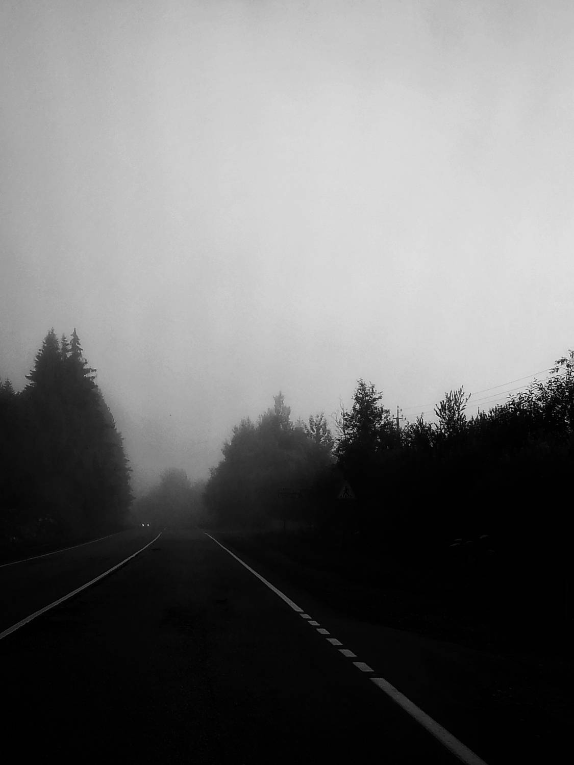 Photo #9328346