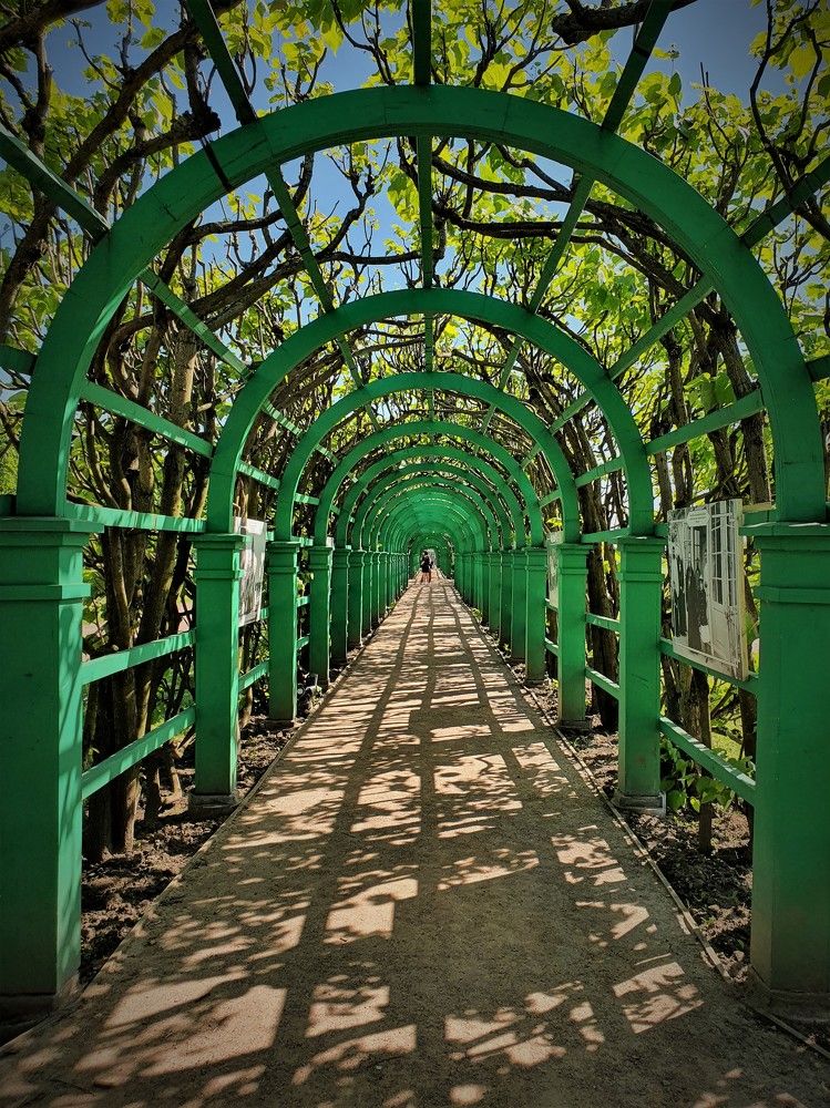 Photograph by Яна Галимуллина