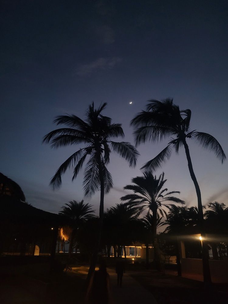 Photograph by Ольга Ларизадех