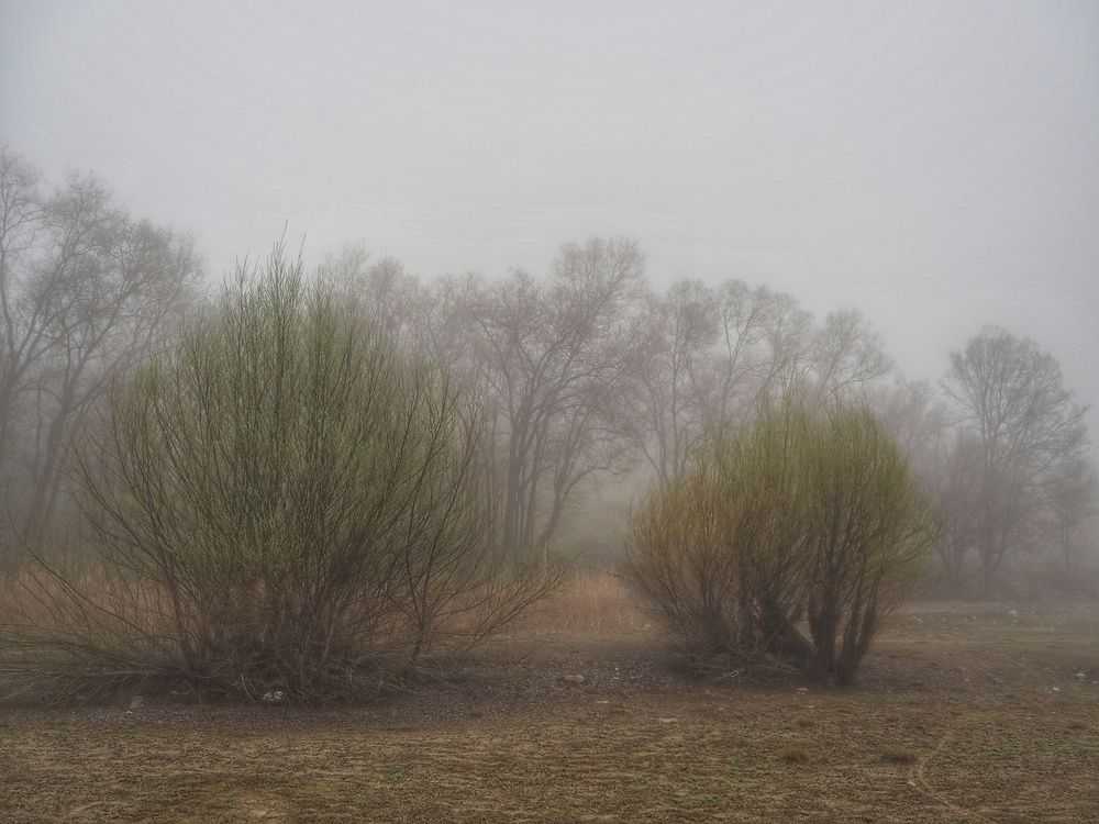 Photograph by Сергей Пермин