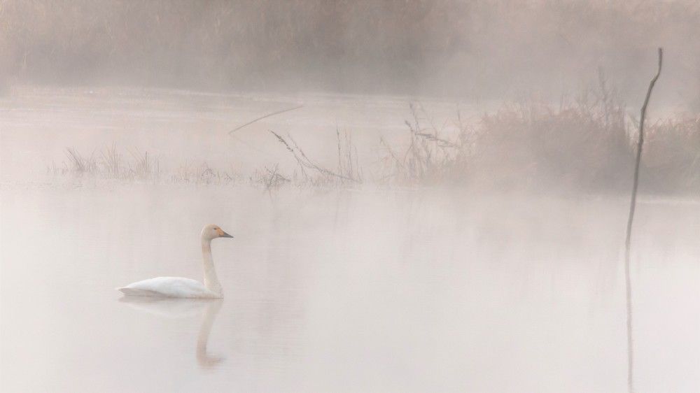 Photograph by константин