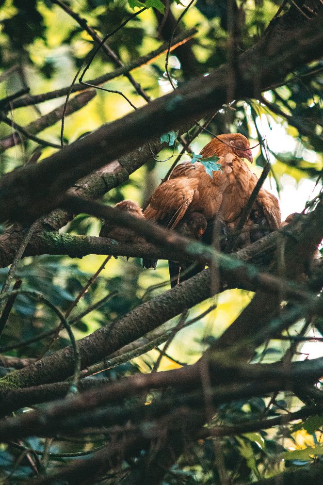 Photograph by Beatriz Barbosa