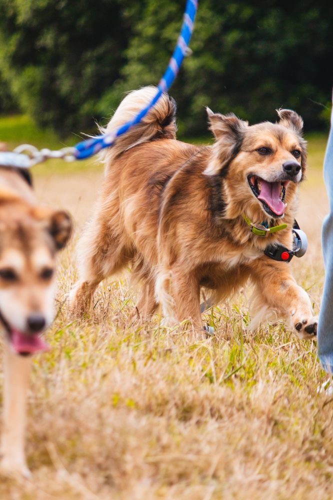 Photograph by Beatriz Barbosa