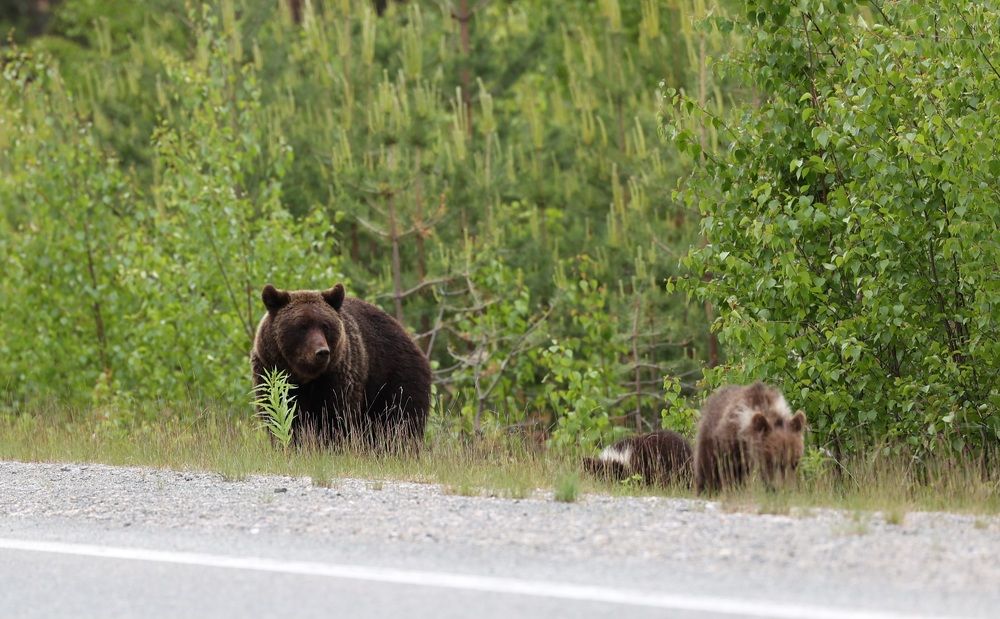 Photograph by Сергей Хитра