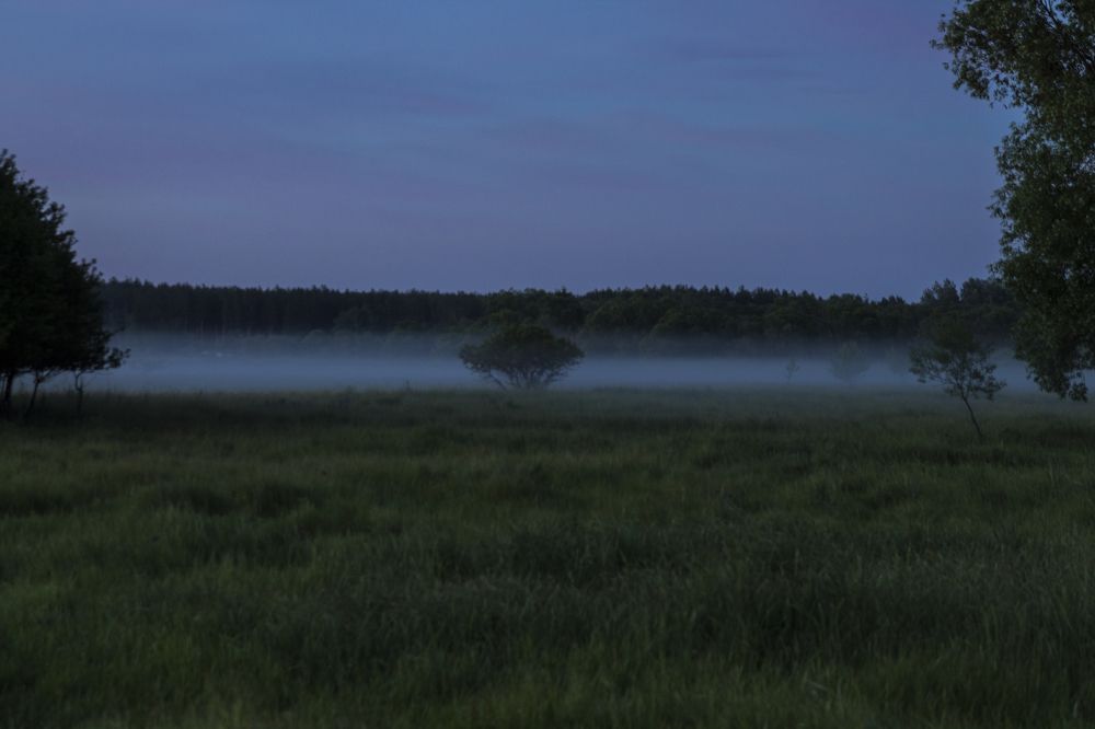 Photograph by Дмитрий Тимин