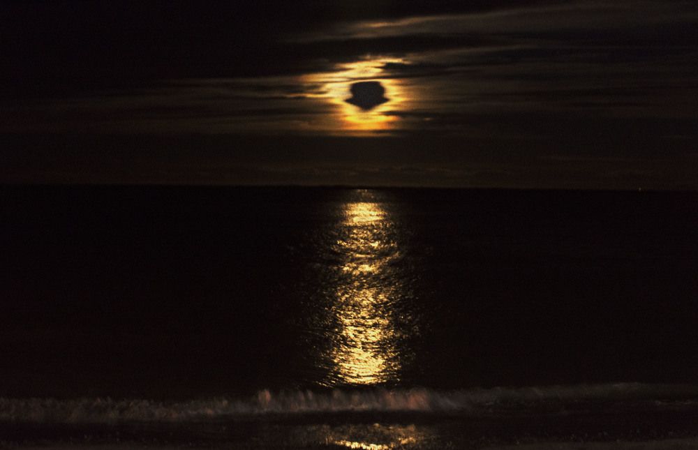 Photograph by Gabriel Cabott