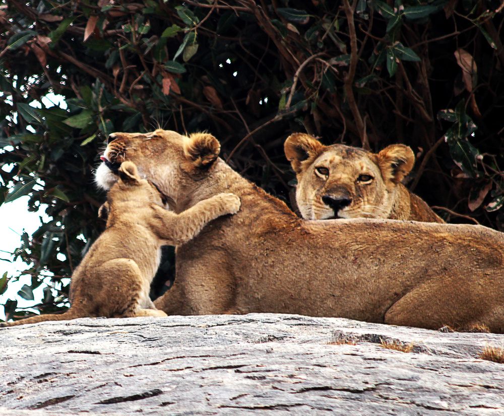 Photograph by Drora Baharal