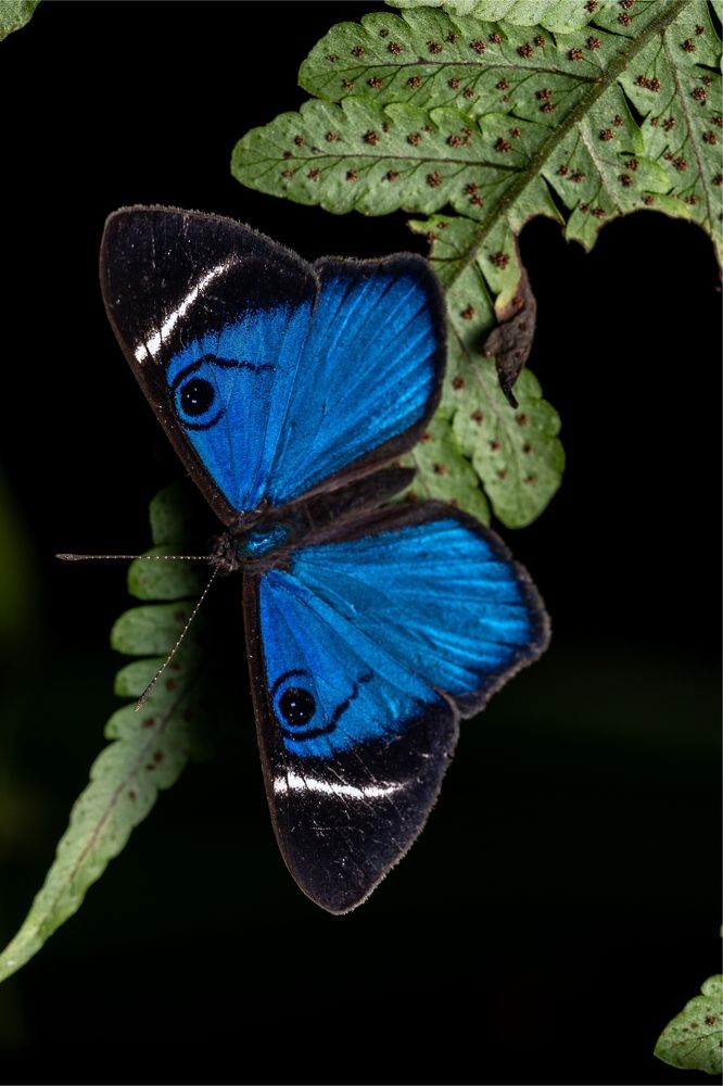 Photograph by Paulo Andrés Garcias Urueña