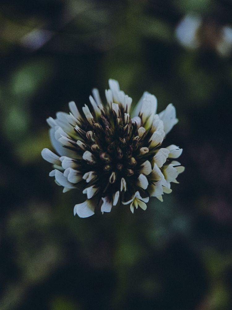 Photograph by Ирина Иванова