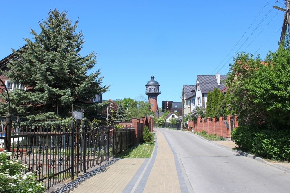 Photograph by Olga Bagaeva