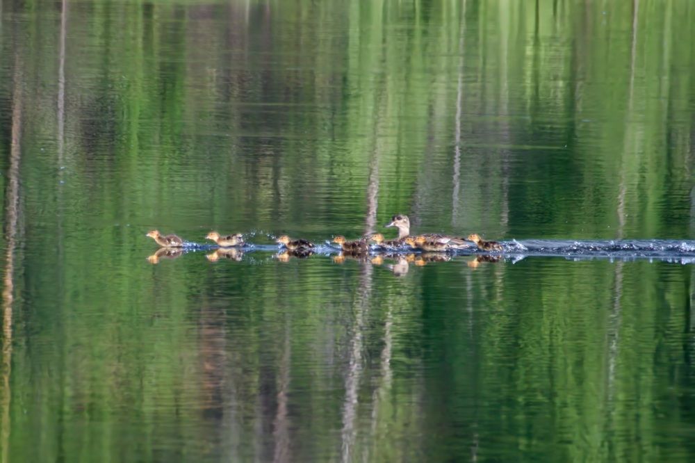 Photograph by Виктория Лобанова