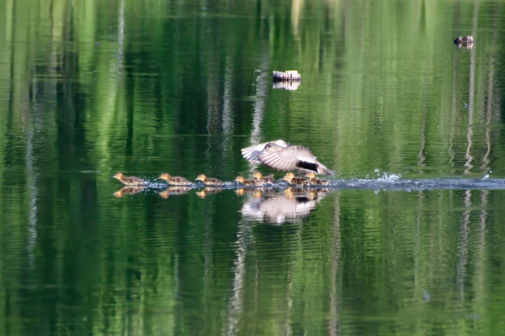 Photograph by Виктория Лобанова