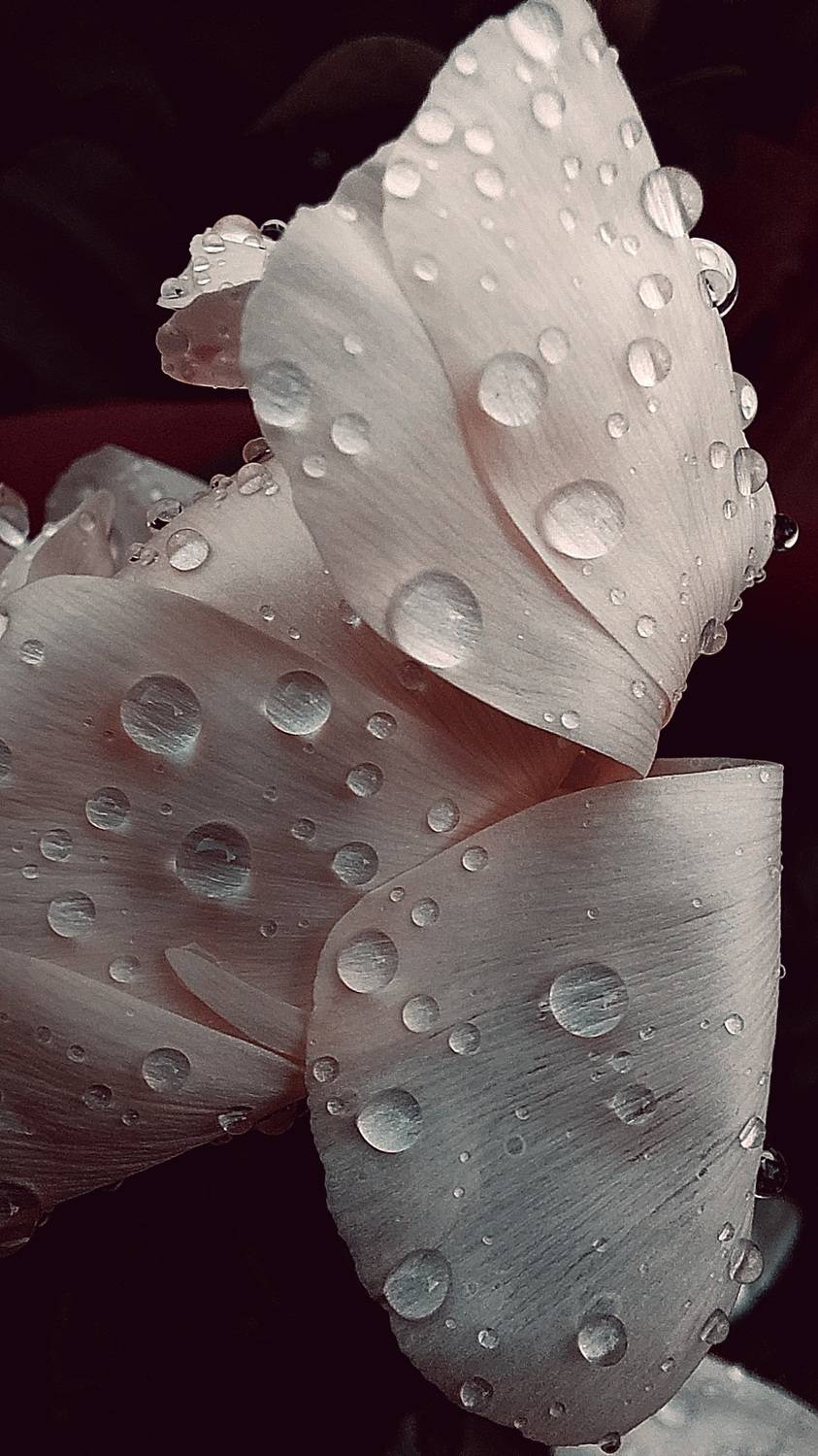 Photo #9328831
