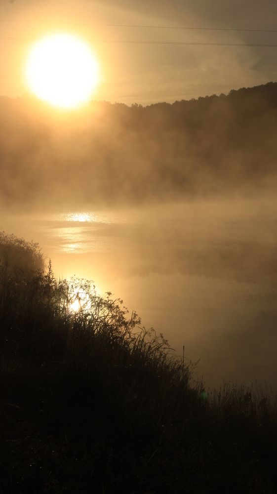 Photograph by Владимир Ясюкевич