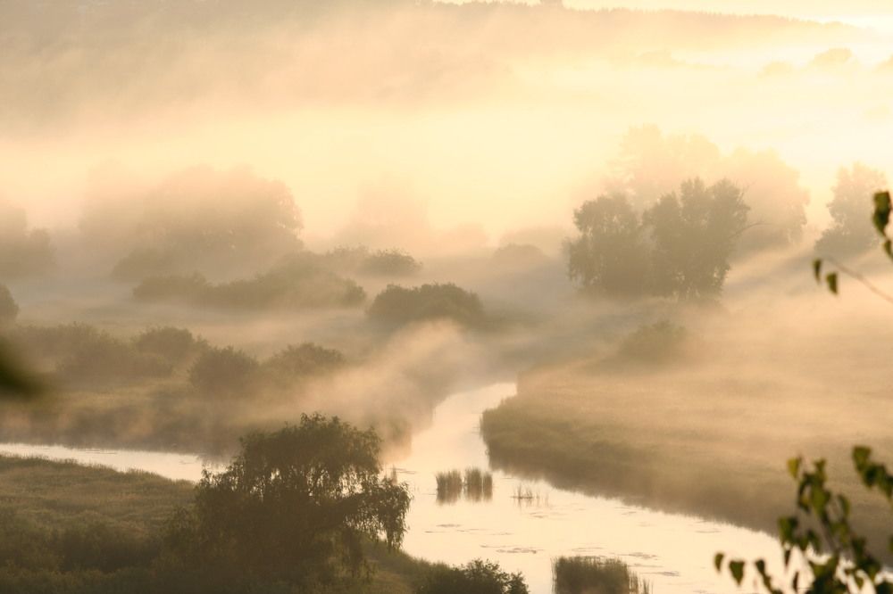 Фотография автора Татьяна Шебаршенко