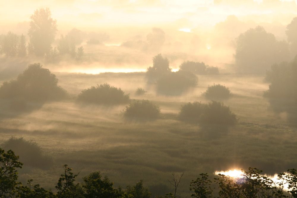 Фотография автора Татьяна Шебаршенко