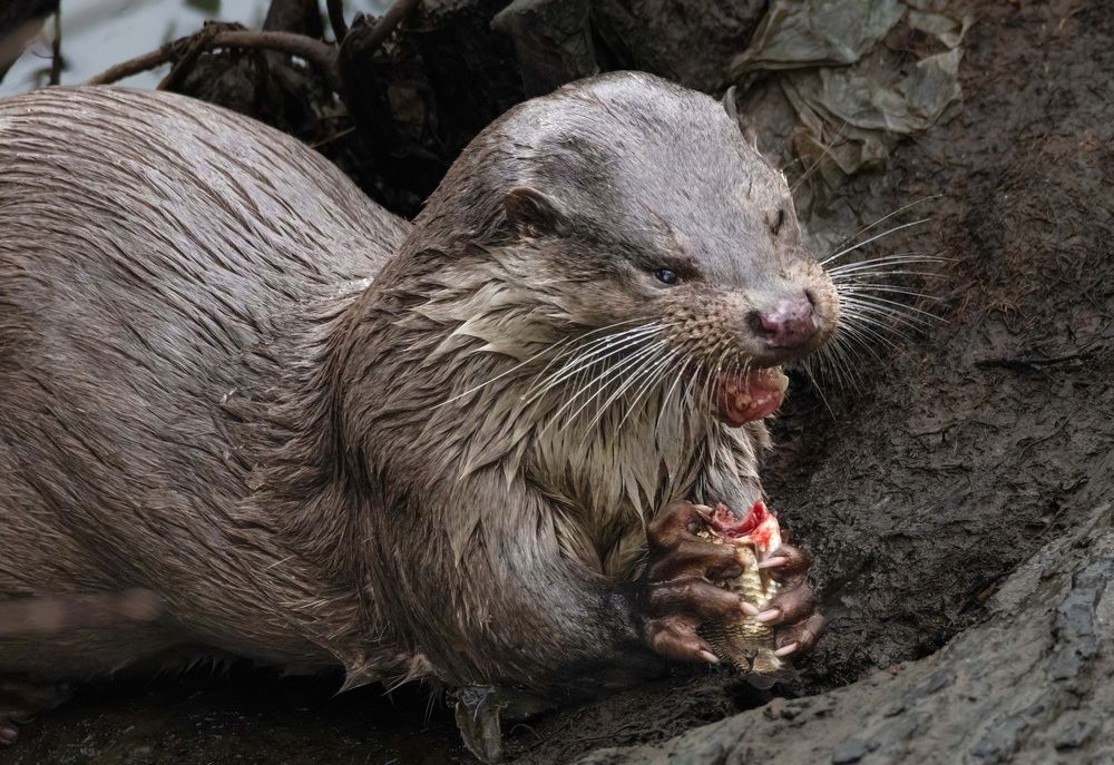 Photograph by Constantin Lazar