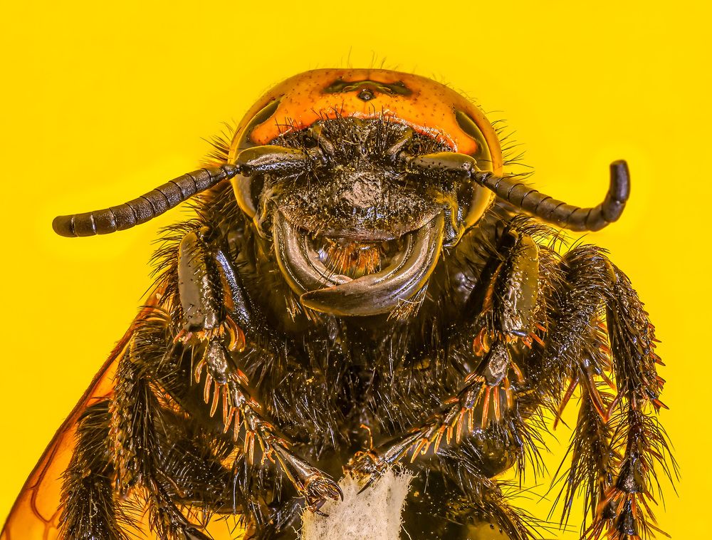 Photograph by Constantin Lazar