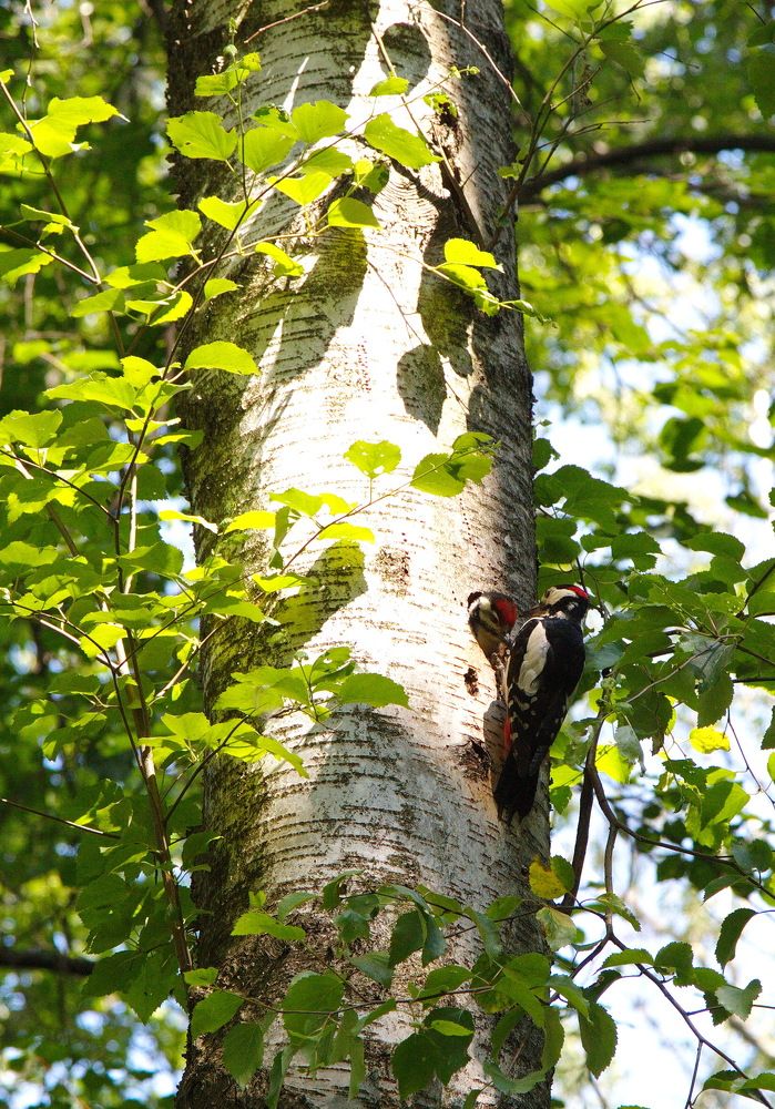 Photograph by Анатолий Протасов