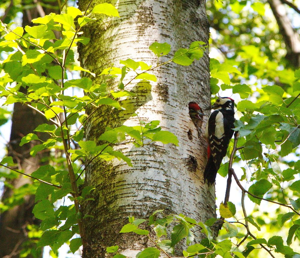 Мать и дитя...!!!