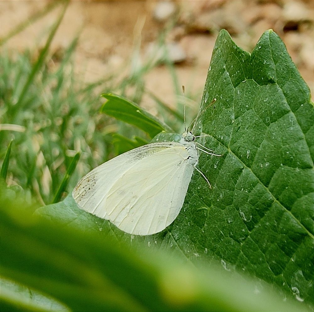 Photograph by Hajar Amir hajiloo