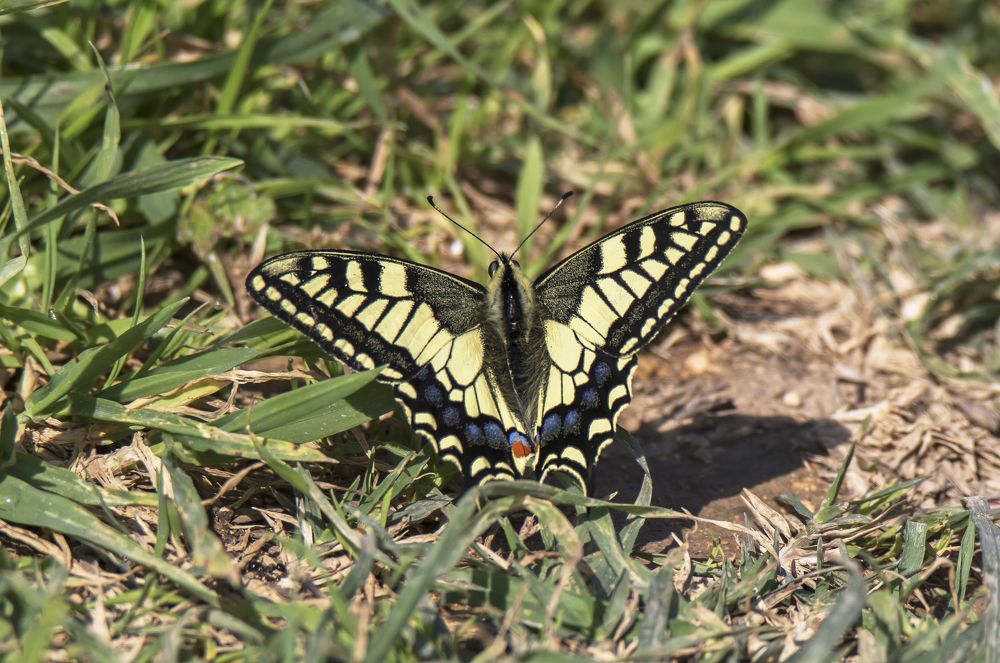 Photograph by Валентина Лопаткина