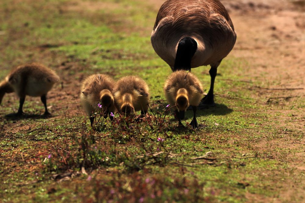 Photograph by Евгений Власов