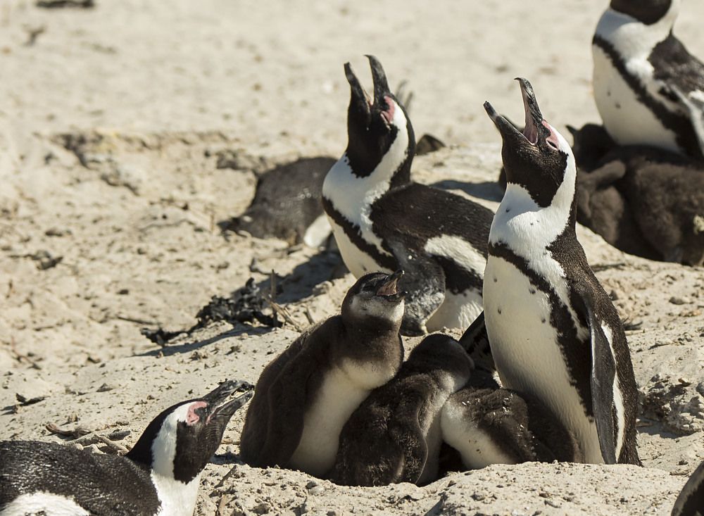 Photograph by Валентина Лопаткина