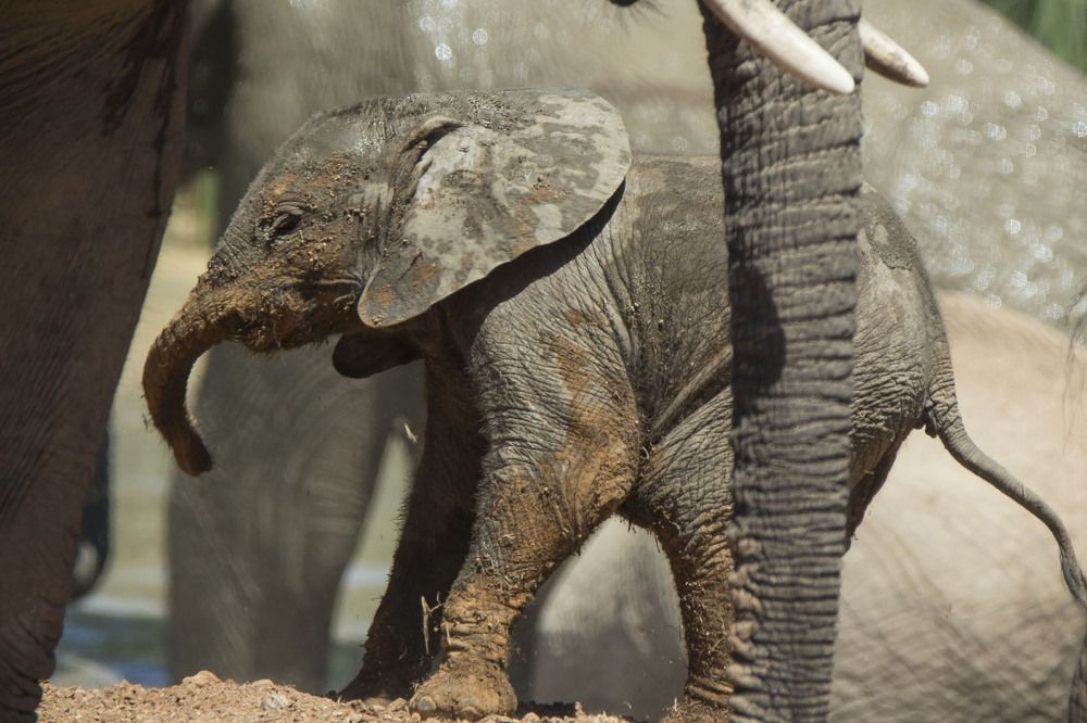 Photograph by Валентина Лопаткина