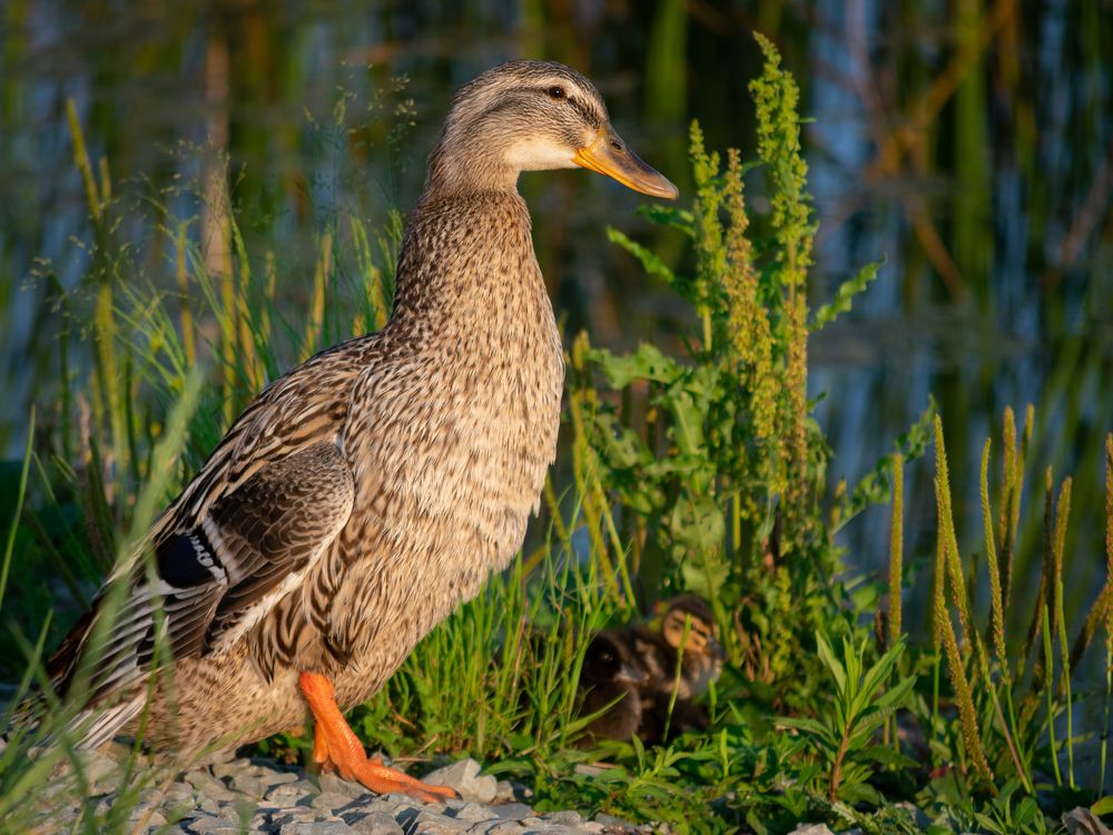 Photograph by Олег Бережных