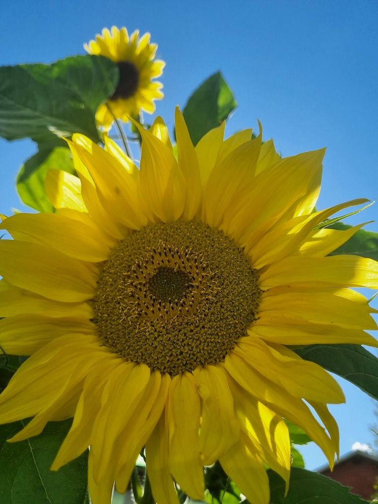 Photograph by Ирина Акулинина