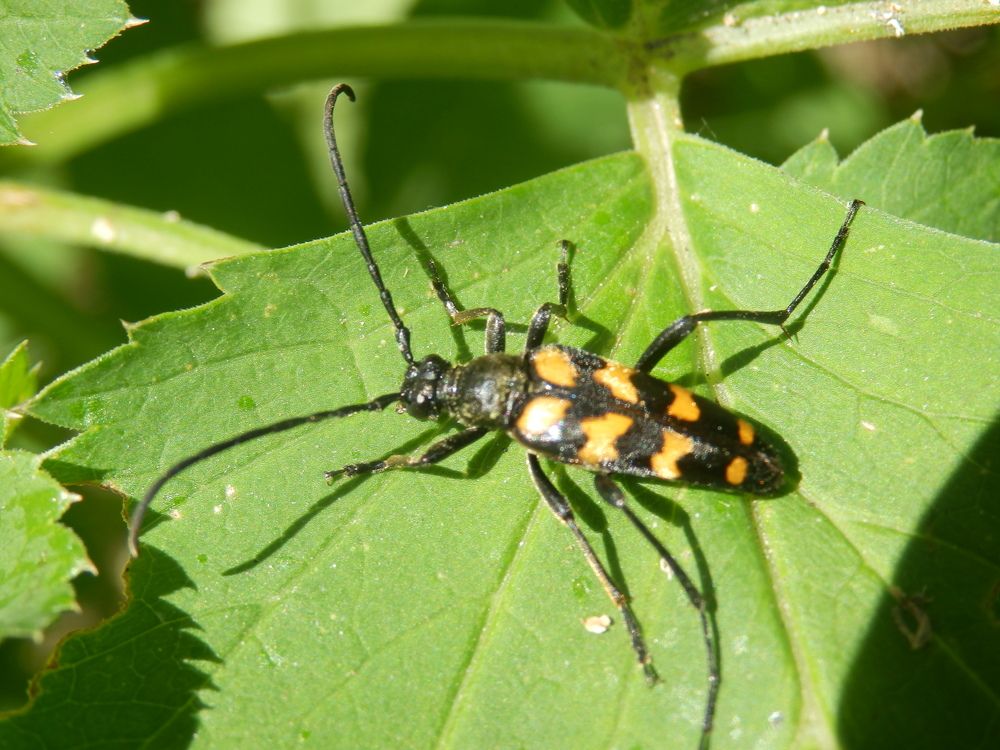 Photograph by Георгий Салюков