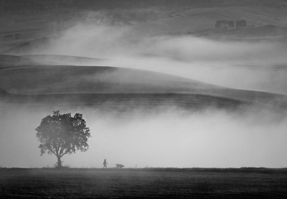 Photograph by Simone Batini