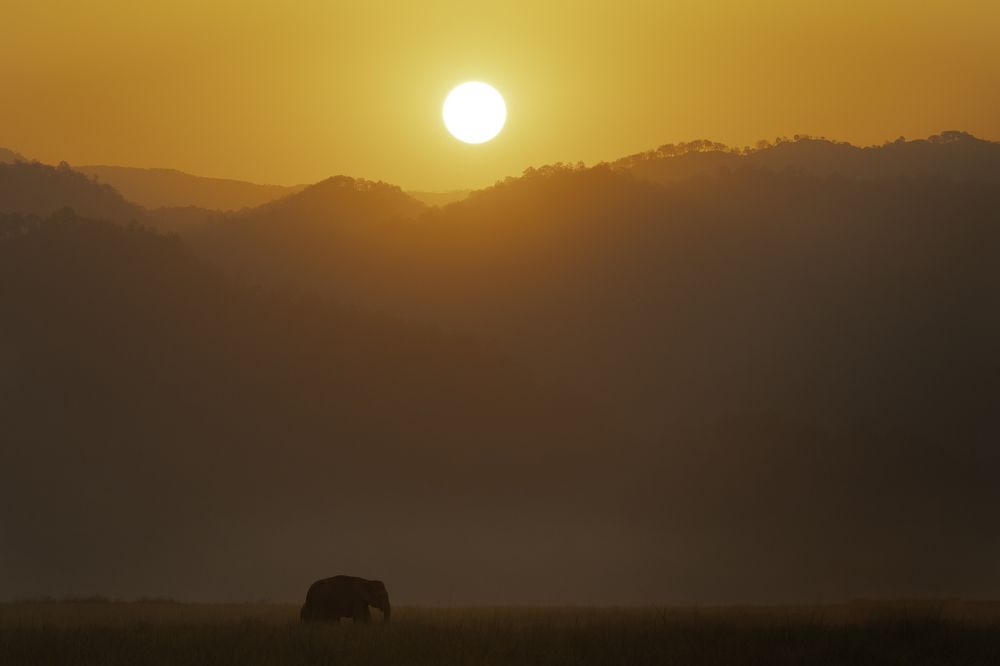 Photograph by Vinod Jagan