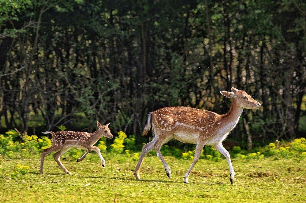 Photograph by Hell Boy