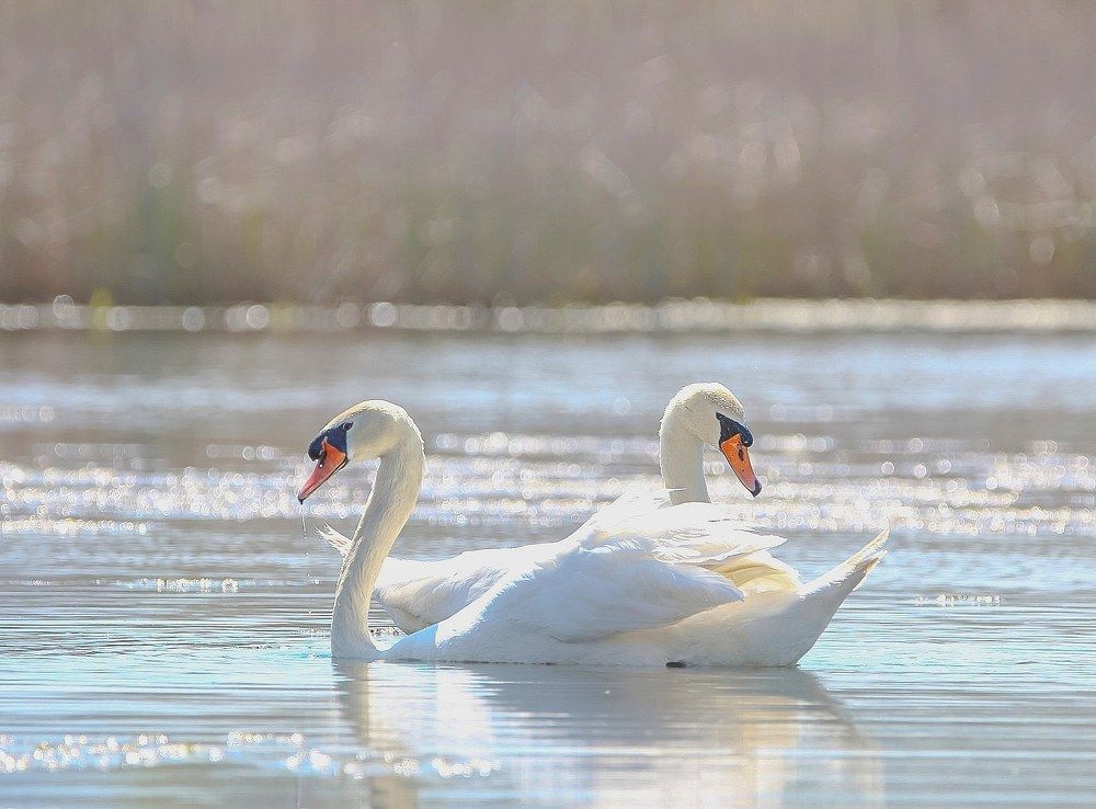 Photograph by Hell Boy