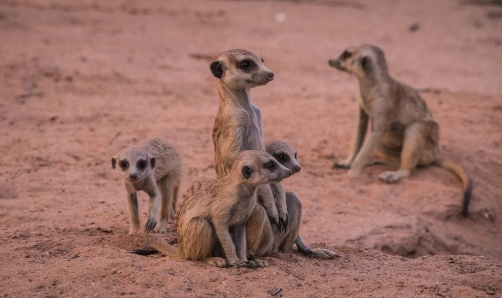 Photograph by Malinda Badenhorst