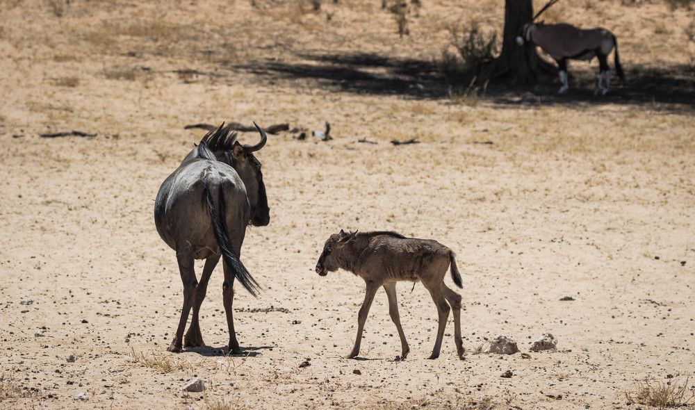 Photograph by Malinda Badenhorst