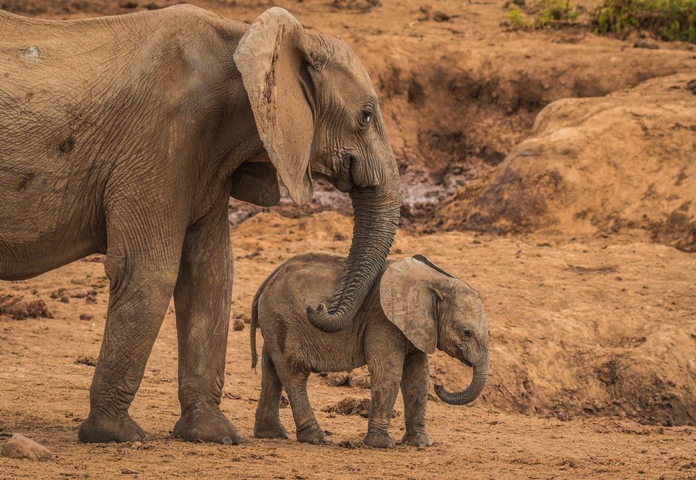 Photograph by Malinda Badenhorst